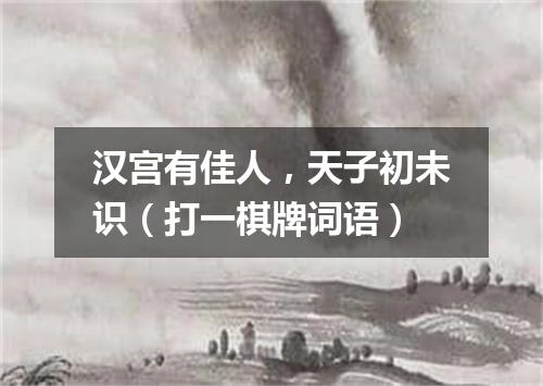 汉宫有佳人，天子初未识（打一棋牌词语）