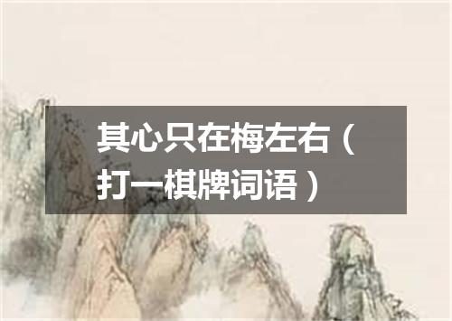 其心只在梅左右（打一棋牌词语）