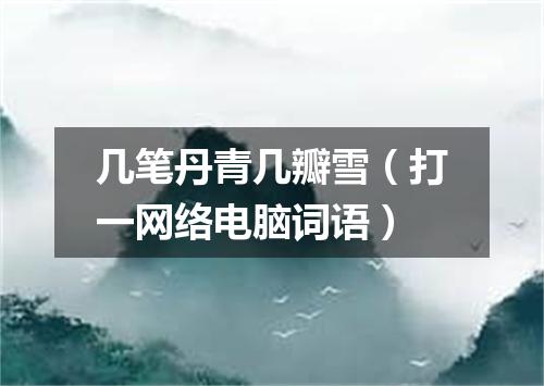 几笔丹青几瓣雪（打一网络电脑词语）