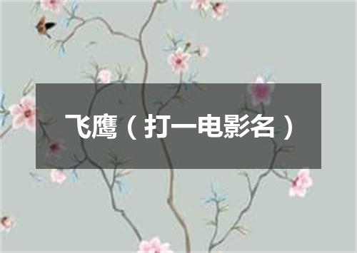 飞鹰（打一电影名）
