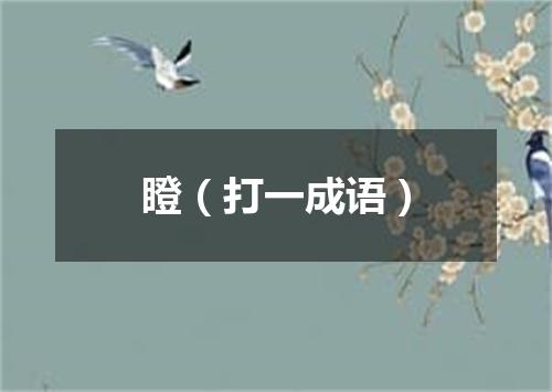 瞪（打一成语）