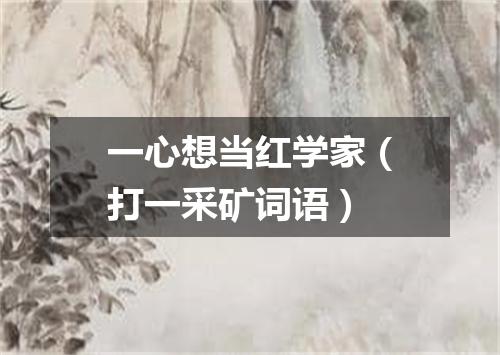 一心想当红学家（打一采矿词语）