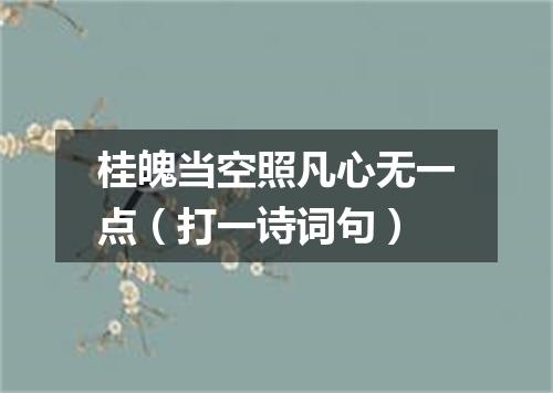 桂魄当空照凡心无一点（打一诗词句）