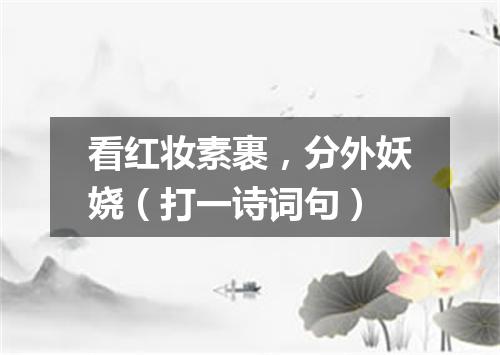 看红妆素裹，分外妖娆（打一诗词句）