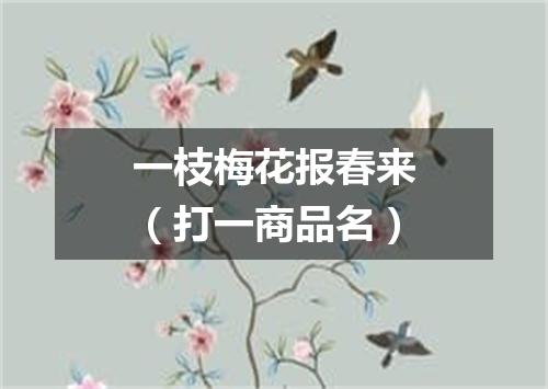 一枝梅花报春来（打一商品名）