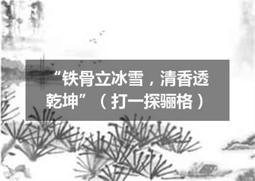 “铁骨立冰雪，清香透乾坤”（打一探骊格）