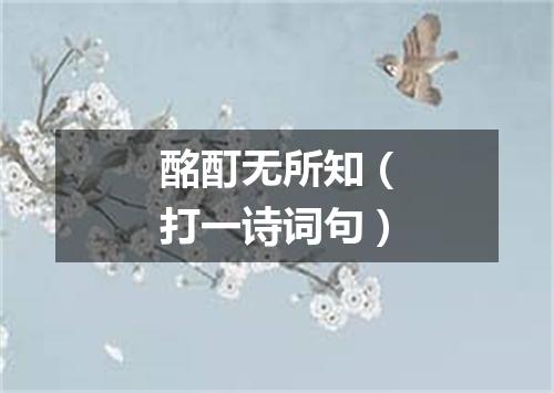 酩酊无所知（打一诗词句）