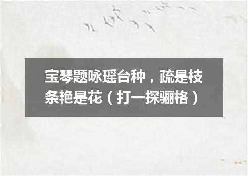 宝琴题咏瑶台种，疏是枝条艳是花（打一探骊格）