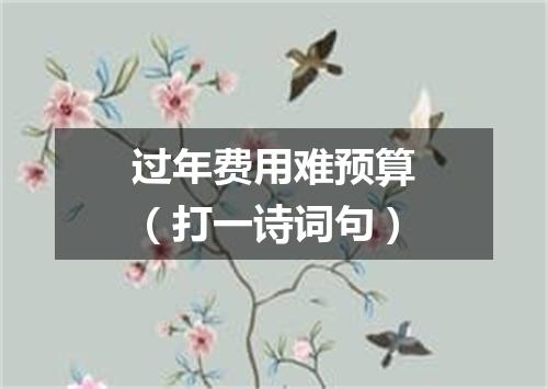 过年费用难预算（打一诗词句）