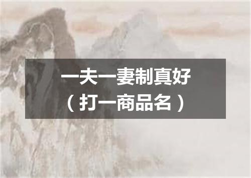 一夫一妻制真好（打一商品名）