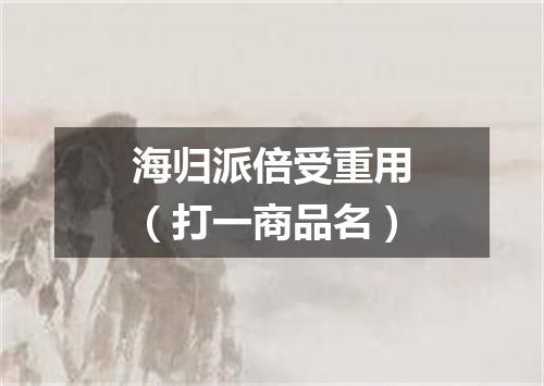 海归派倍受重用（打一商品名）