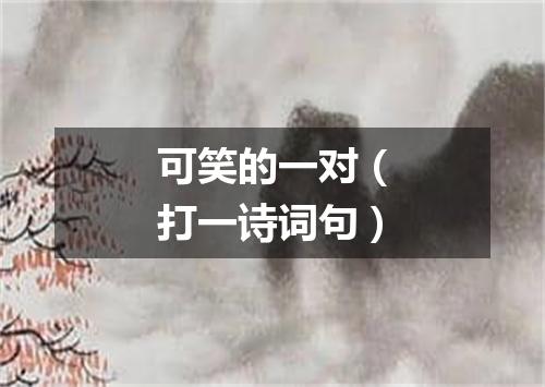 可笑的一对（打一诗词句）