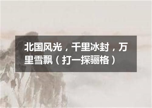 北国风光，千里冰封，万里雪飘（打一探骊格）
