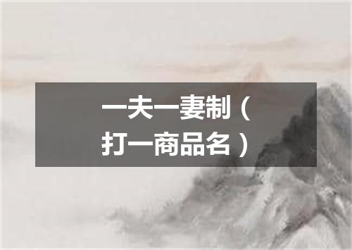 一夫一妻制（打一商品名）