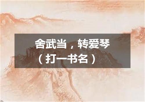 舍武当，转爱琴（打一书名）