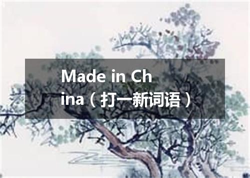 Made in China（打一新词语）