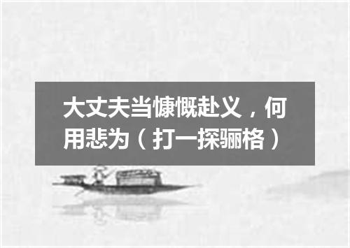 大丈夫当慷慨赴义，何用悲为（打一探骊格）