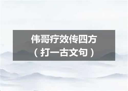 伟哥疗效传四方（打一古文句）