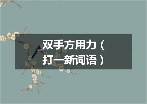 双手方用力（打一新词语）