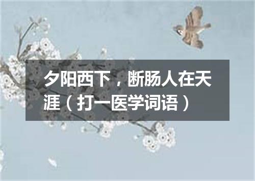 夕阳西下，断肠人在天涯（打一医学词语）