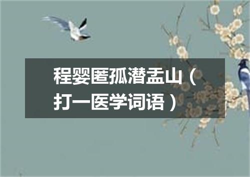 程婴匿孤潜盂山（打一医学词语）