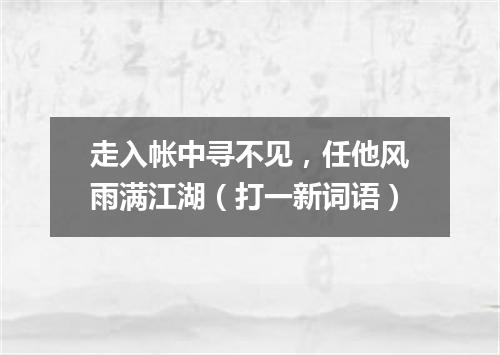 走入帐中寻不见，任他风雨满江湖（打一新词语）