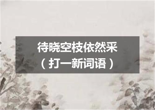 待晓空枝依然采（打一新词语）