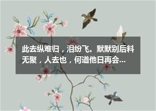 此去纵难归，泪纷飞。默默别后料无聚，人去也，何道他日再会。（打一新词语）