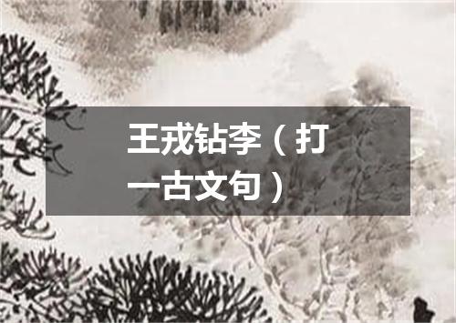 王戎钻李（打一古文句）