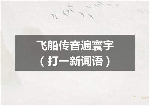 飞船传音遍寰宇（打一新词语）