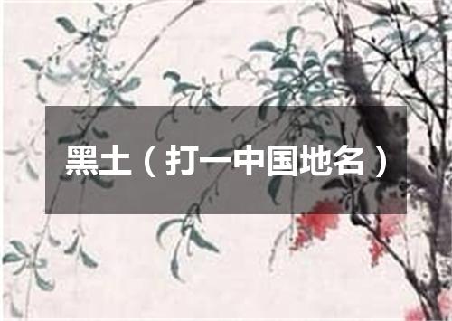 黑土（打一中国地名）