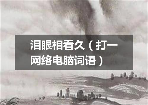 泪眼相看久（打一网络电脑词语）