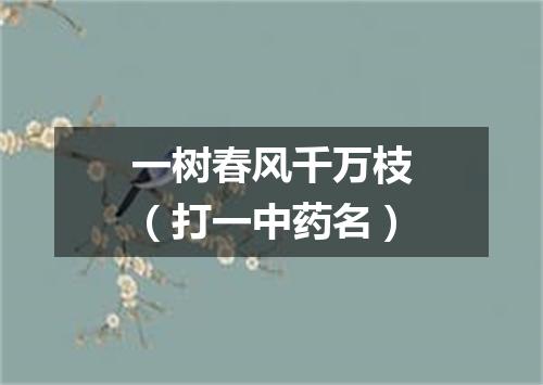 一树春风千万枝（打一中药名）
