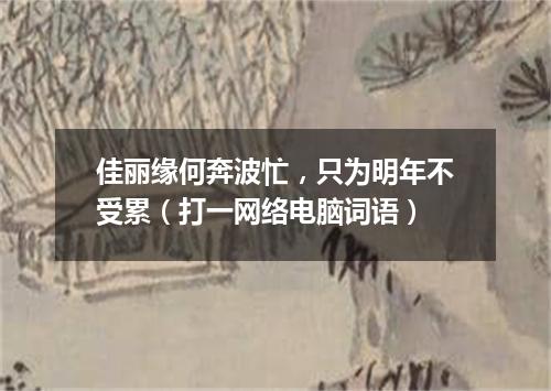 佳丽缘何奔波忙，只为明年不受累（打一网络电脑词语）