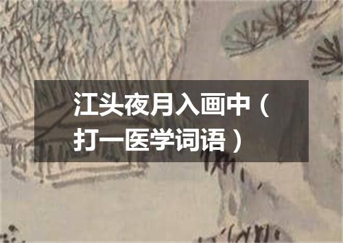 江头夜月入画中（打一医学词语）