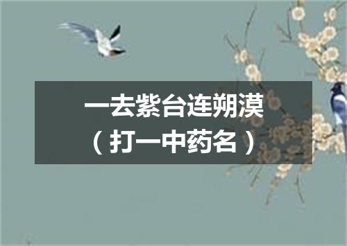 一去紫台连朔漠（打一中药名）