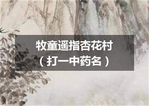 牧童遥指杏花村（打一中药名）