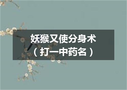 妖猴又使分身术（打一中药名）