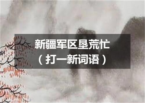 新疆军区垦荒忙（打一新词语）