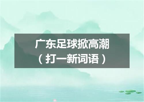 广东足球掀高潮（打一新词语）