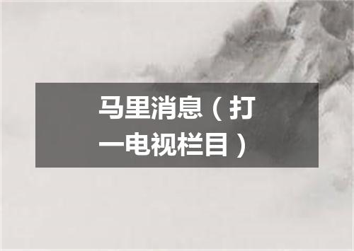 马里消息（打一电视栏目）