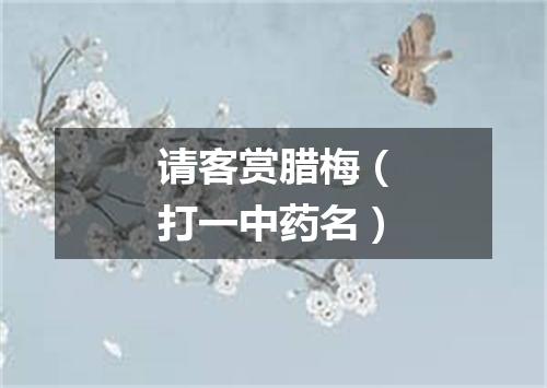 请客赏腊梅（打一中药名）