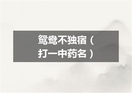 鸳鸯不独宿（打一中药名）