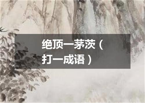 绝顶一茅茨（打一成语）