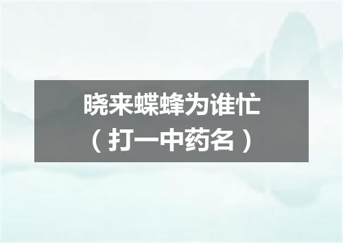 晓来蝶蜂为谁忙（打一中药名）