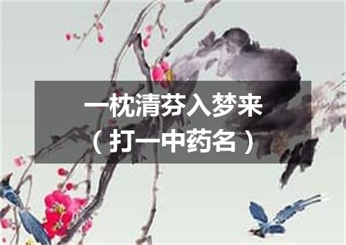 一枕清芬入梦来（打一中药名）