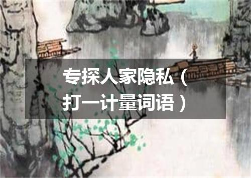 专探人家隐私（打一计量词语）