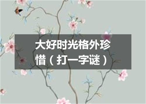 大好时光格外珍惜（打一字谜）