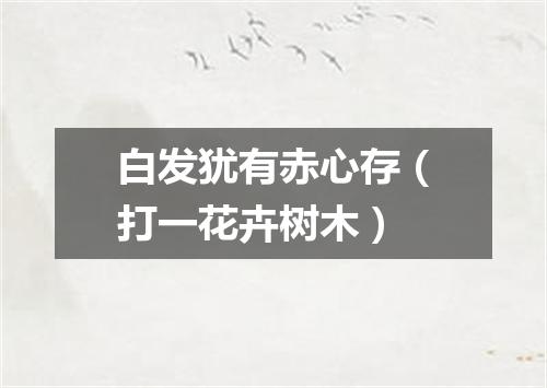 白发犹有赤心存（打一花卉树木）