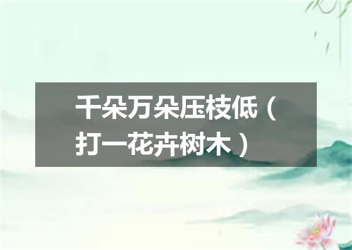 千朵万朵压枝低（打一花卉树木）